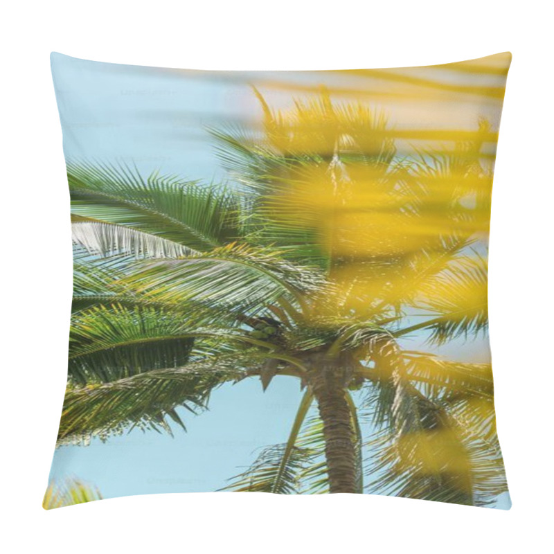 Personality  Palm Tree With Vibrant Green Leaves Against A Clear Blue Sky. Pillow Covers