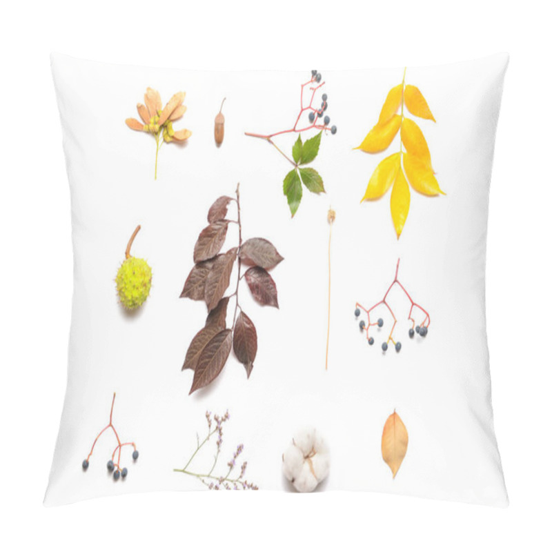 Personality  Beautiful Autumn Composition On White Background Pillow Covers