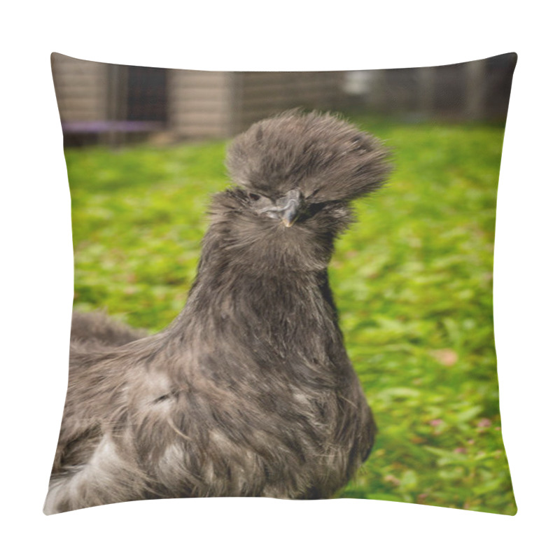 Personality  Blue Silkie Chicken Pillow Covers