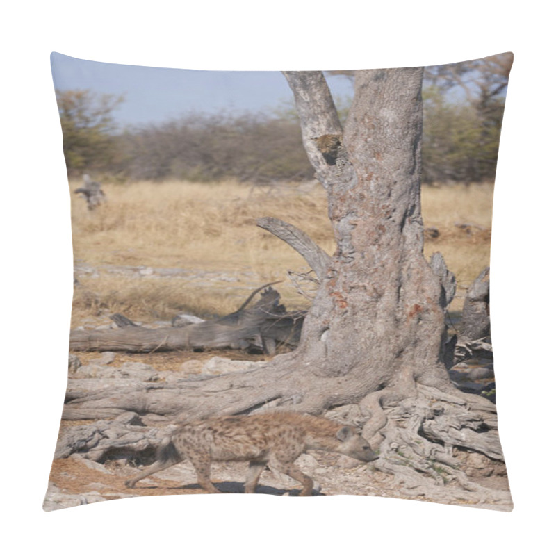 Personality  Leopard (Panthera Pardus) In The Fork Of A Tree Above A Natural Spring In Etosha National Park, Namibia. Spotted Hyaena (Crocuta Crocuta) Below.   Pillow Covers