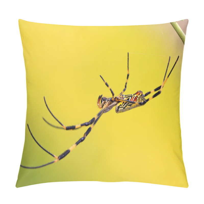 Personality  A Spider Pillow Covers