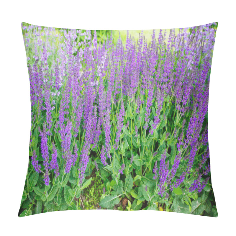 Personality  Blue Salvia (salvia Farinacea) Flowers Blooming Pillow Covers