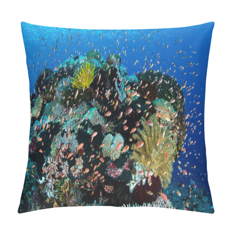 Personality  Vibrant Coral Reef In Indonesia Pillow Covers