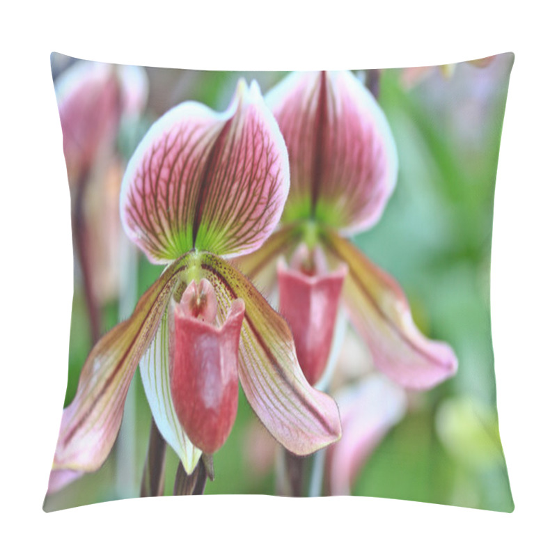 Personality  Beautiful Orchid Flowers  Pillow Covers