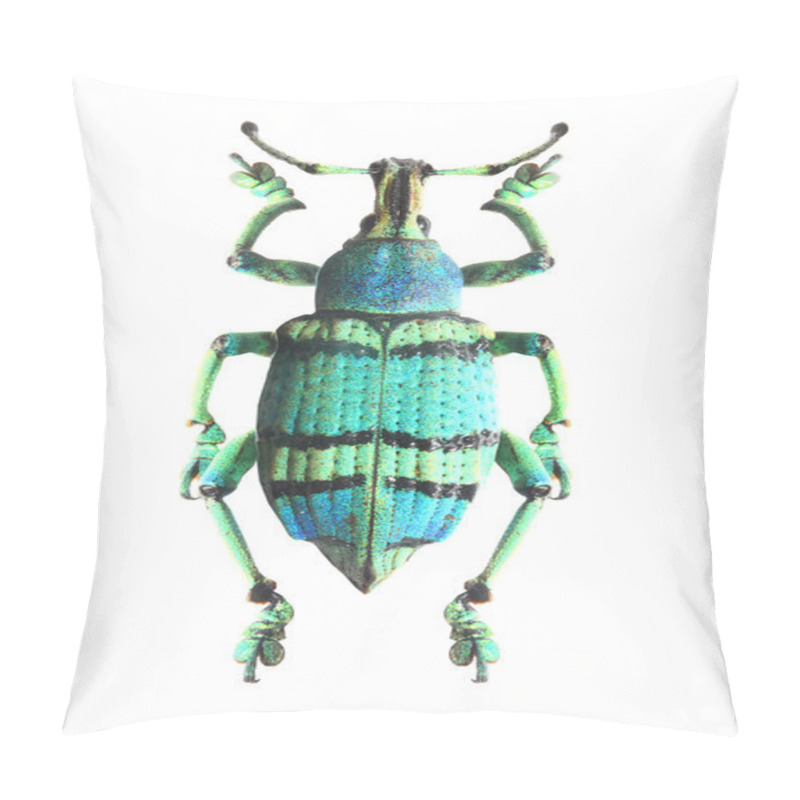 Personality  Tropical Beetle (Curculionoidae). Pillow Covers