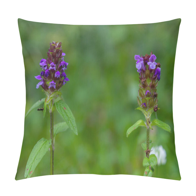 Personality  Prunella Vulgaris Makro Single Natural Flower, Medicinal Herbs Nature Background. Pillow Covers