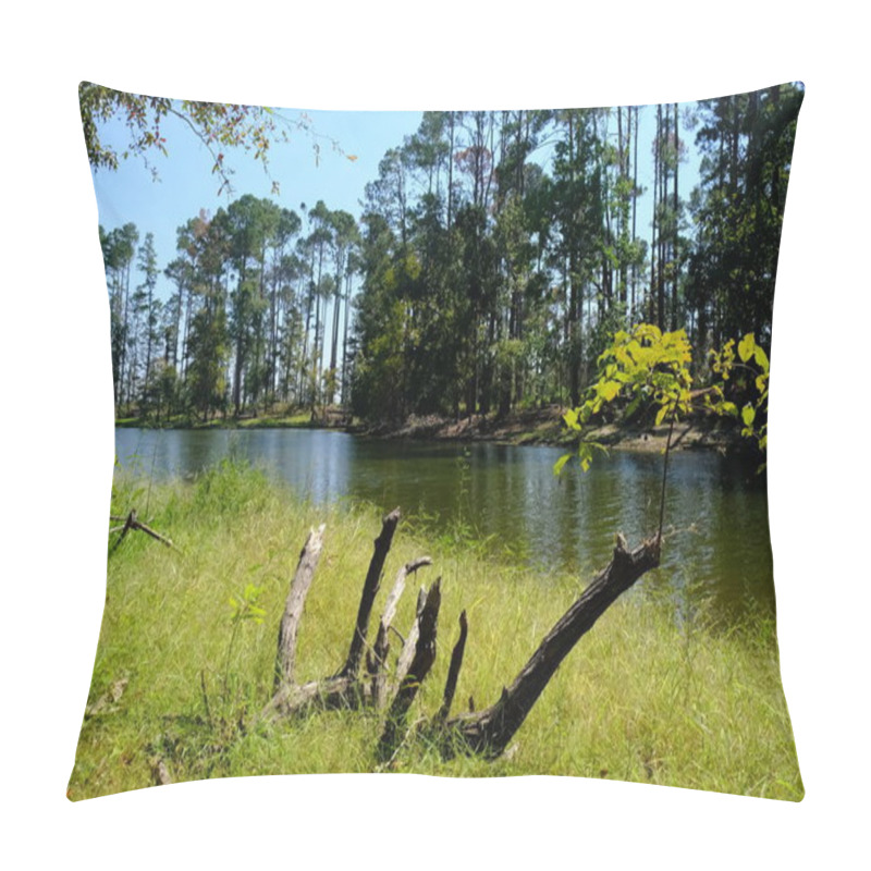 Personality  This Is A Photograph From North Toledo Bend State Park In Zwolle Louisiana. Pillow Covers