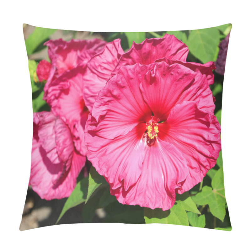 Personality  Hibiscus Is A Genus Of Flowering Plants In The Mallow Family, Malvaceae. It Is Quite Large, Containing Several Hundred Species That Are Native To Warm-temperate, Subtropical And Tropical Regions. Pillow Covers