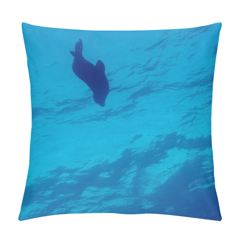 Personality  A Group Of Sea Lions Underwater Pillow Covers