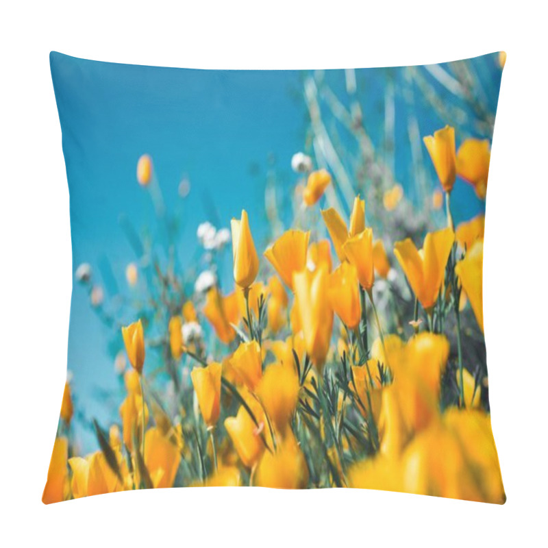 Personality  Vibrant Yellow Flowers Blooming Under A Clear Blue Sky. Pillow Covers