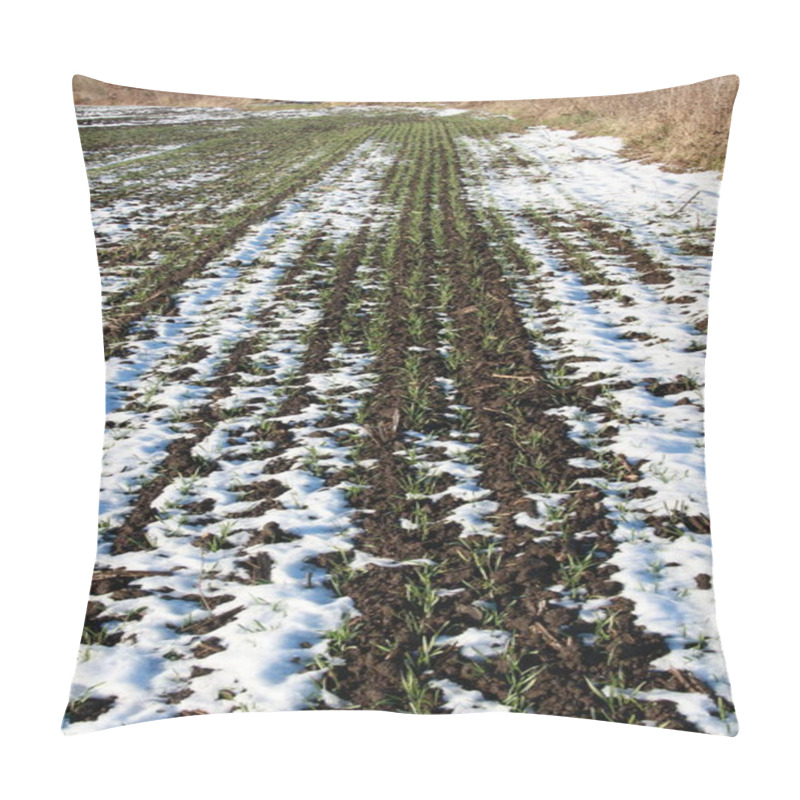 Personality  Snow-covered Ukrainian Fields And Gardens. Backgrounds Of Winter Nature For Phones And Tablets. Seasons Of The Year. Pillow Covers