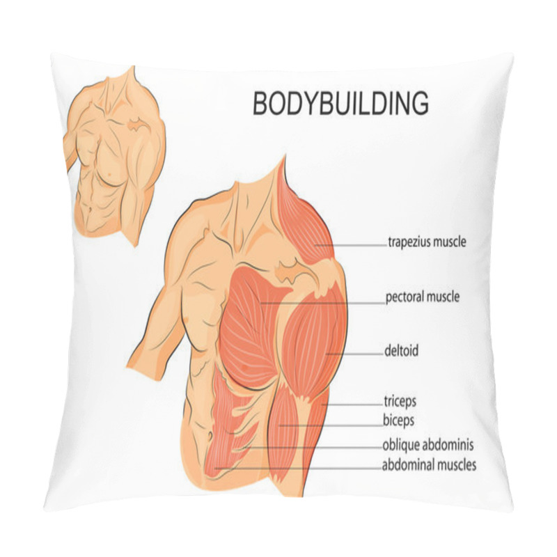 Personality  Male Body Arms Shoulders Chest And Abs Pillow Covers