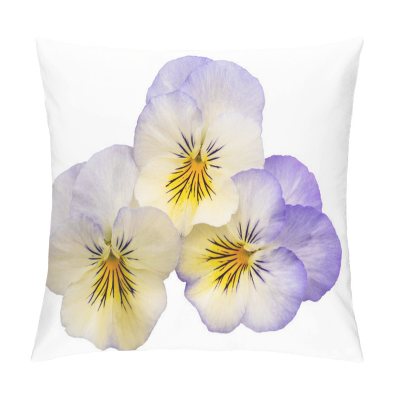 Personality  Pansy Flowers  Isolated On White Background Pillow Covers