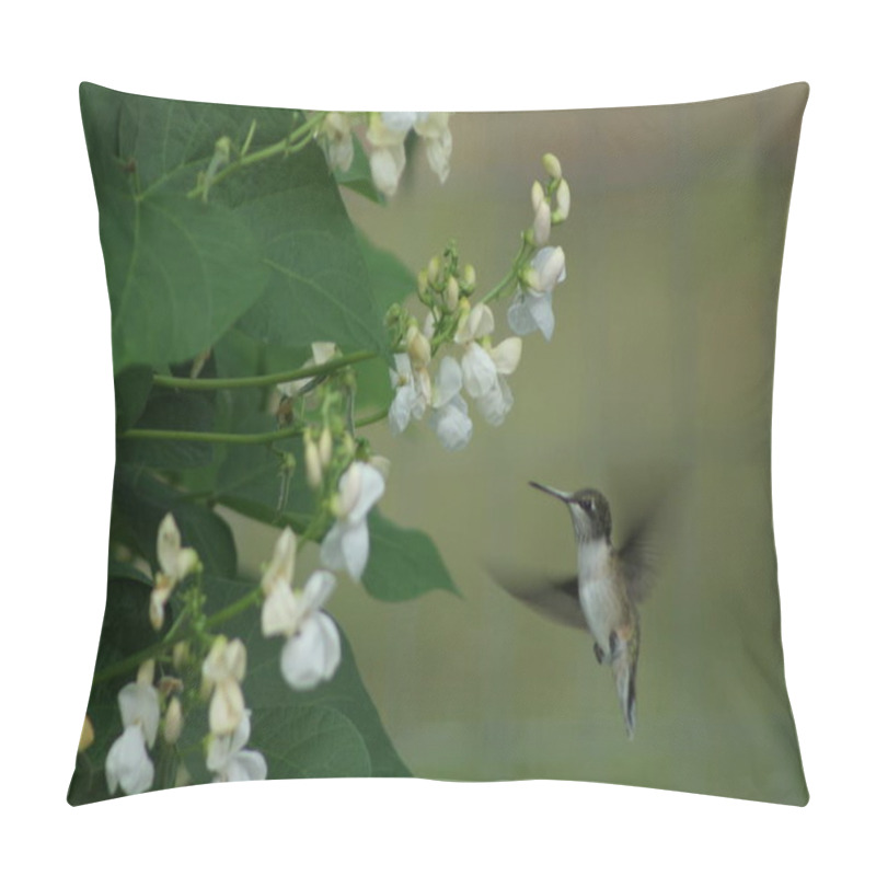 Personality  Hummingbird In Quebec. Canada, North America. Pillow Covers