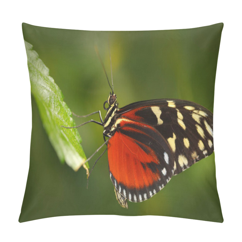 Personality  Butterfly Sitting On Leaves Pillow Covers