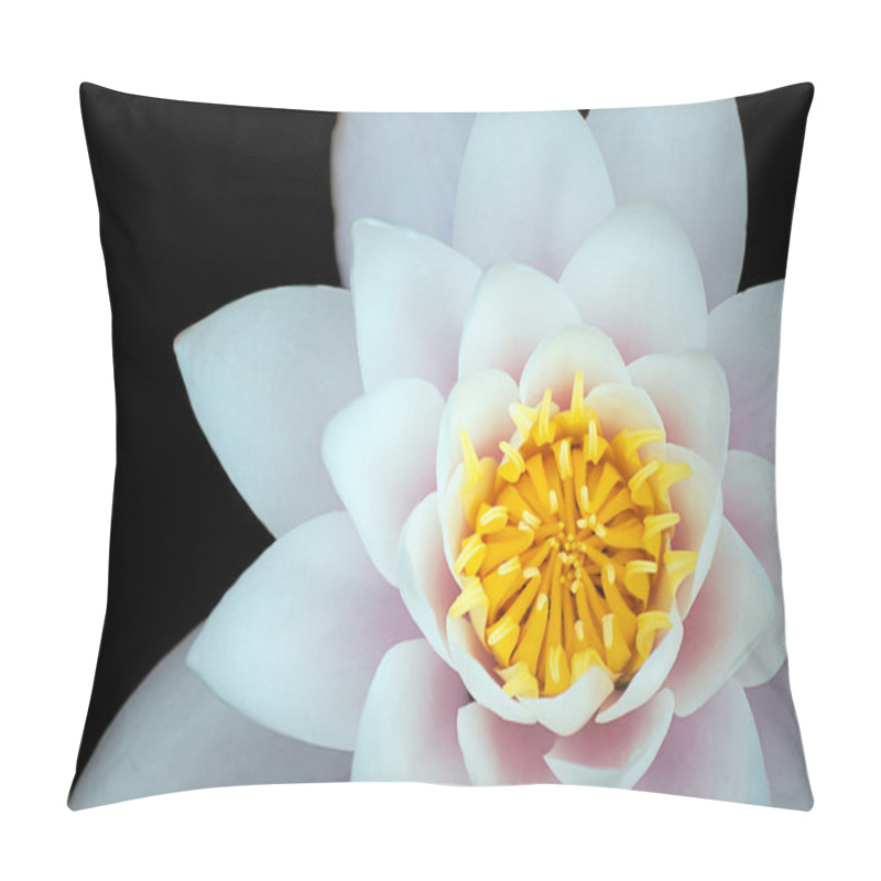 Personality  White Lotus Flower Pillow Covers