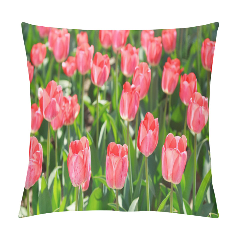 Personality  Tulip Field. Flowers Pillow Covers