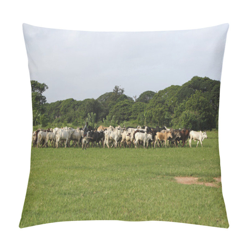 Personality  Afrikan Cattle Between Green Palms Pillow Covers