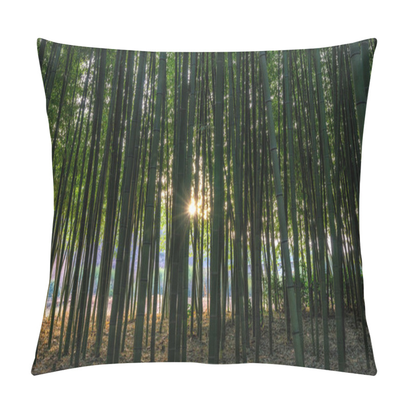 Personality  Sunset Light Through Simnidaebat Bamboo Forest. The Famous Bamboo Forest In Ulsan Taehwagang River Grand Park Has An Extensive Bamboo Field Covering The Area Between Taehwa Bridge And Samho Bridge. Ulsan, South Korea Pillow Covers