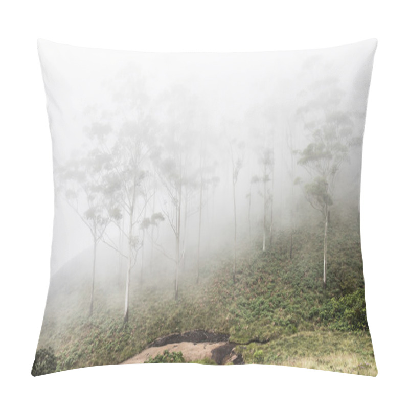 Personality  Hill Slopes In Eravikulam Park Pillow Covers