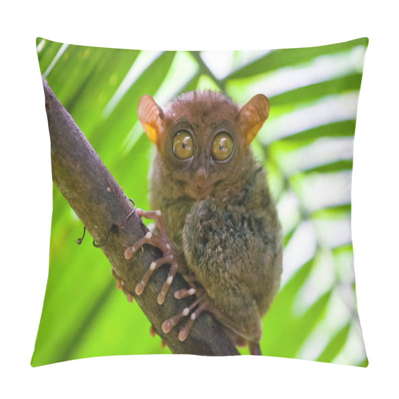 Personality  Phillipine Tarsier ,Tarsius Syrichta, The Worlds Smallest Primate Cute Tarsius Monkey With Big Enormous Eyes Sitting On A Branch With Green Leaves. Bohol Island, Philippines. Pillow Covers