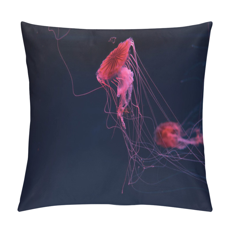 Personality  Selective Focus Of Compass Jellyfishes In Pink Neon Light On Dark Background Pillow Covers