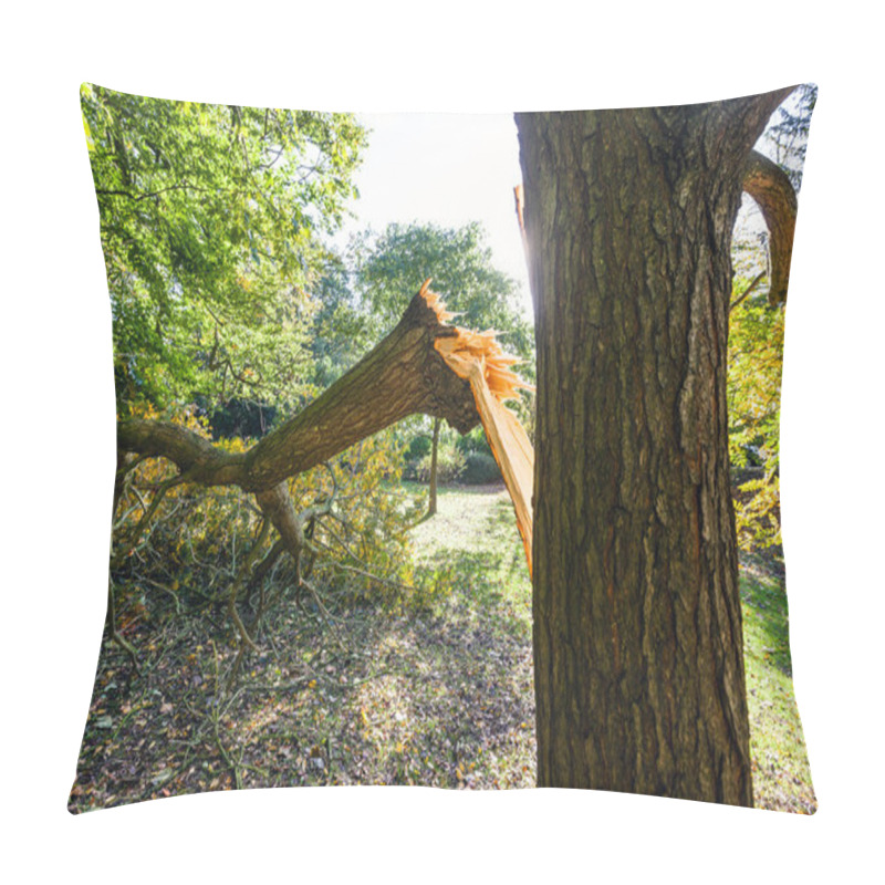 Personality  Tree Damaged During UK Storm Pillow Covers