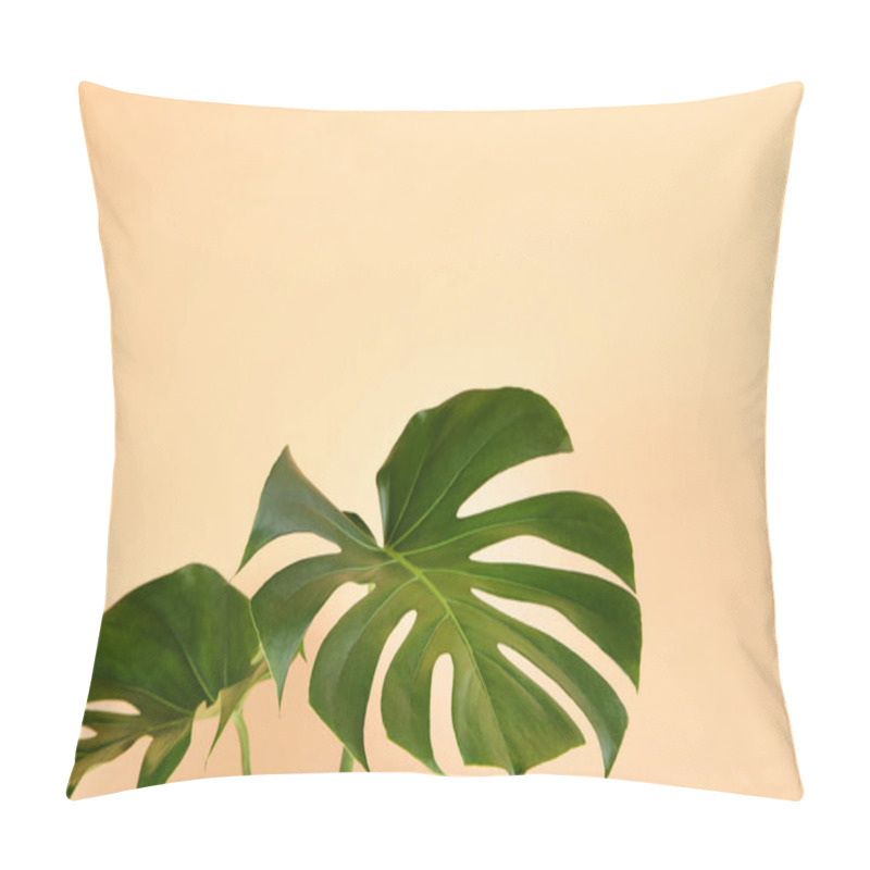 Personality  Green Tropical Monstera Leafs On Beige Background Pillow Covers