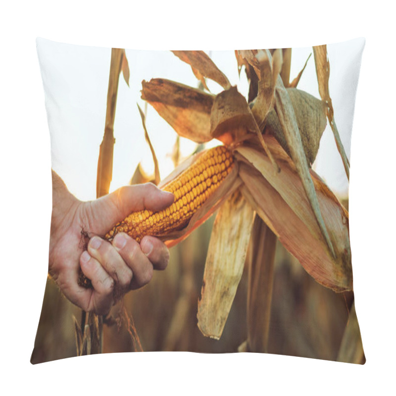 Personality  Maize Farmer Picking Ripe Ear Of Corn, Close Up Of Hand Pillow Covers