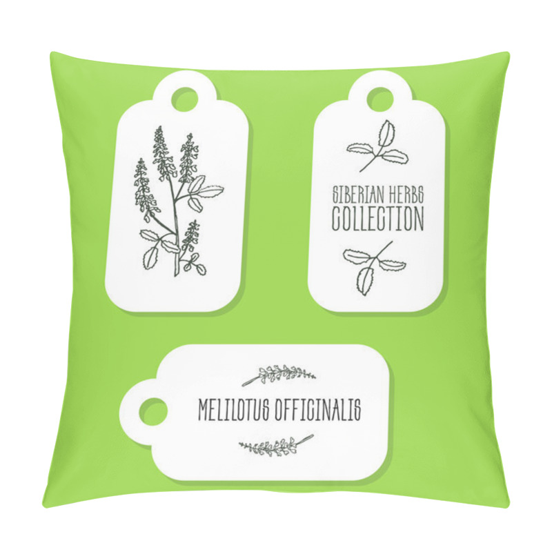 Personality  Handdrawn Illustration - Health And Nature Set Pillow Covers