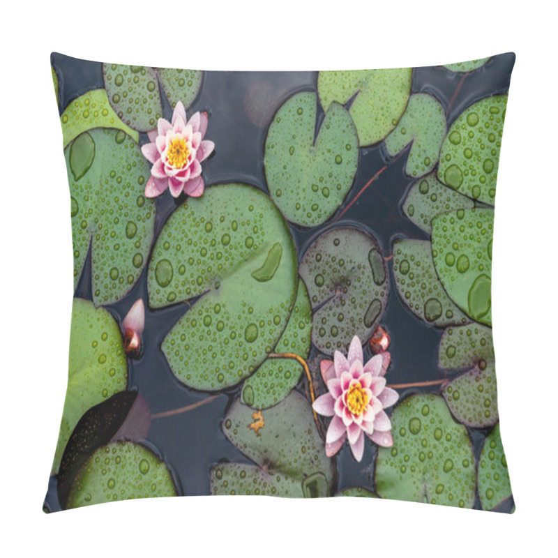 Personality  Lotus Flower Blooming In Pond. Top View Of Lotus Flowers, Flat Lay, Natural Background Of Plants Pillow Covers