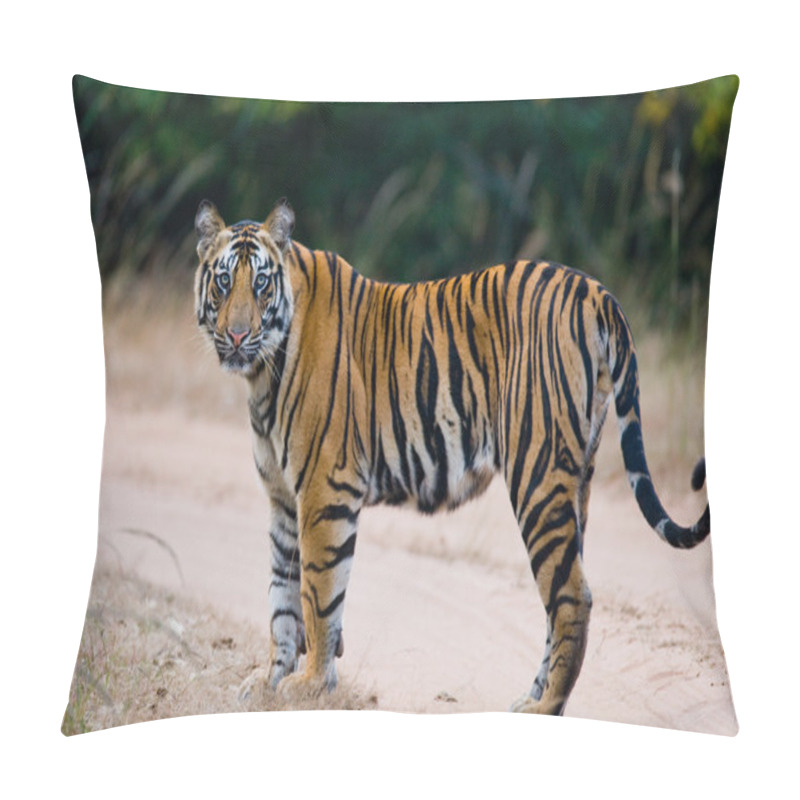 Personality  One Wild Tiger Pillow Covers