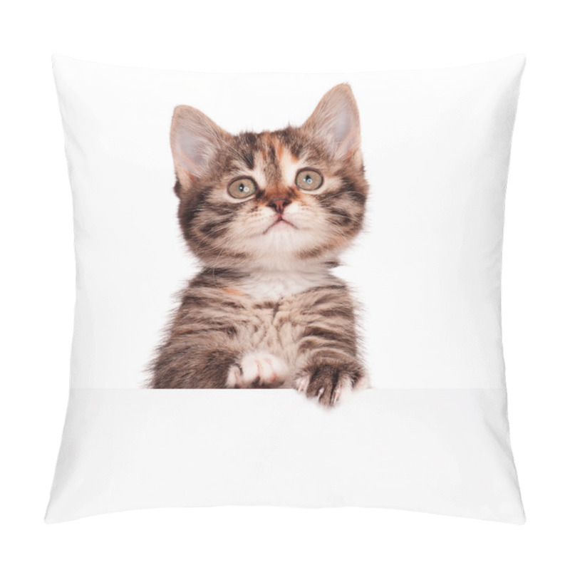 Personality  Cute Kitten Pillow Covers