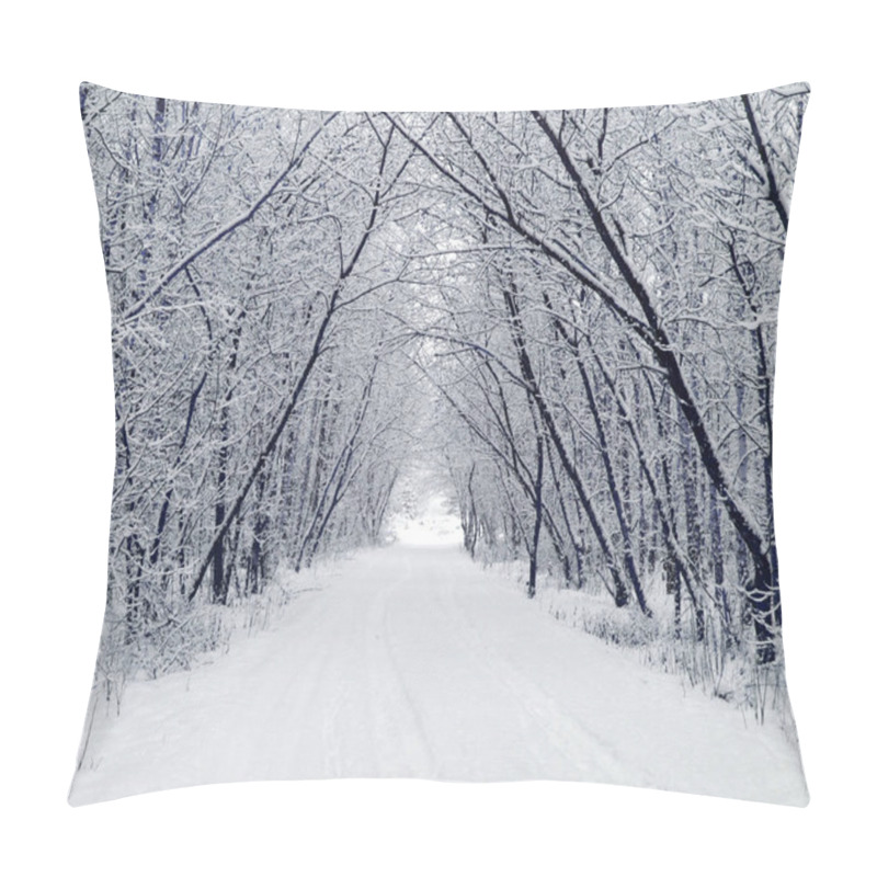 Personality  Winter Park. Nature, Travel Pillow Covers