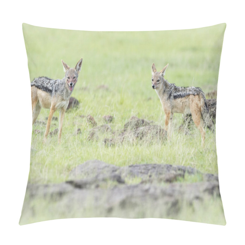 Personality  Two Black Backed Jackal (Canis Mesomelas) Standing On Savanna, Masai Mara National Reserve, Kenya Pillow Covers