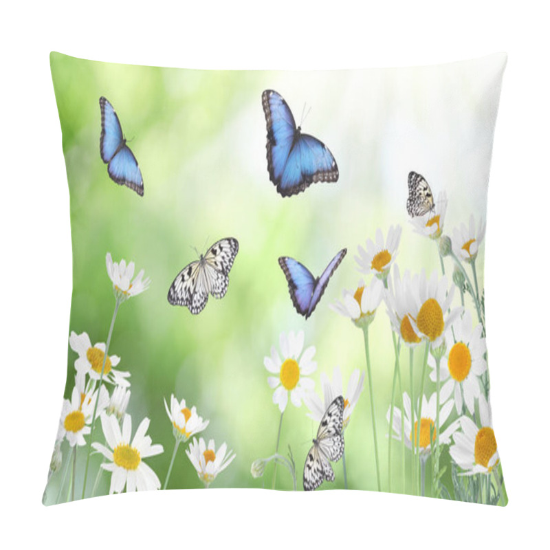 Personality  Beautiful Chamomile Flowers Outdoors On Sunny Day. Springtime  Pillow Covers