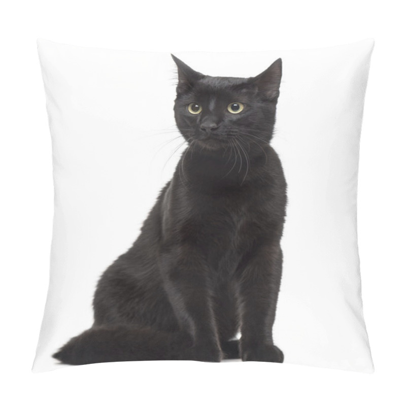 Personality  European Cat Isolated On White Pillow Covers