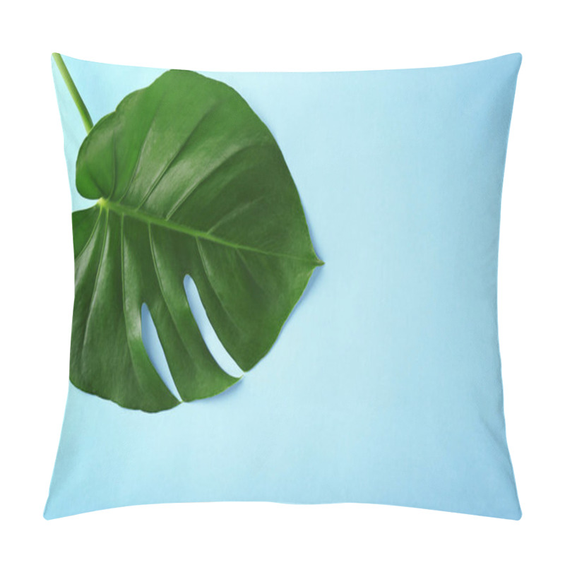 Personality  Green Monstera Leaf   Pillow Covers