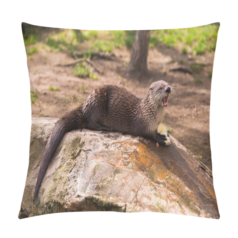 Personality   Otter Standing On A Rock With Prey In The Teeth Pillow Covers