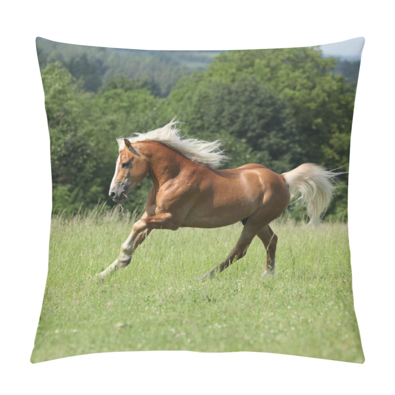 Personality  Amazing Haflinger Running On Pasturage Pillow Covers