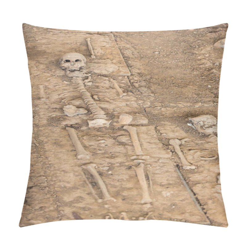 Personality  Remains Of Skeletons In Portuguese Settlement Pillow Covers