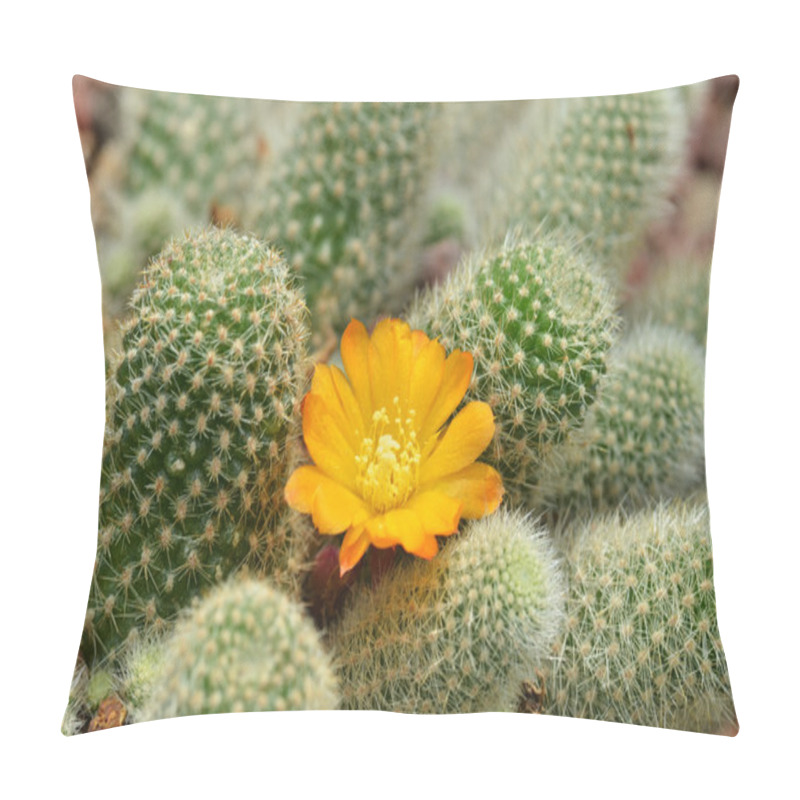 Personality  Cactus With Yellow Flower Pillow Covers