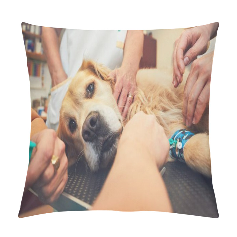 Personality  Dog In The Animal Hospital Pillow Covers