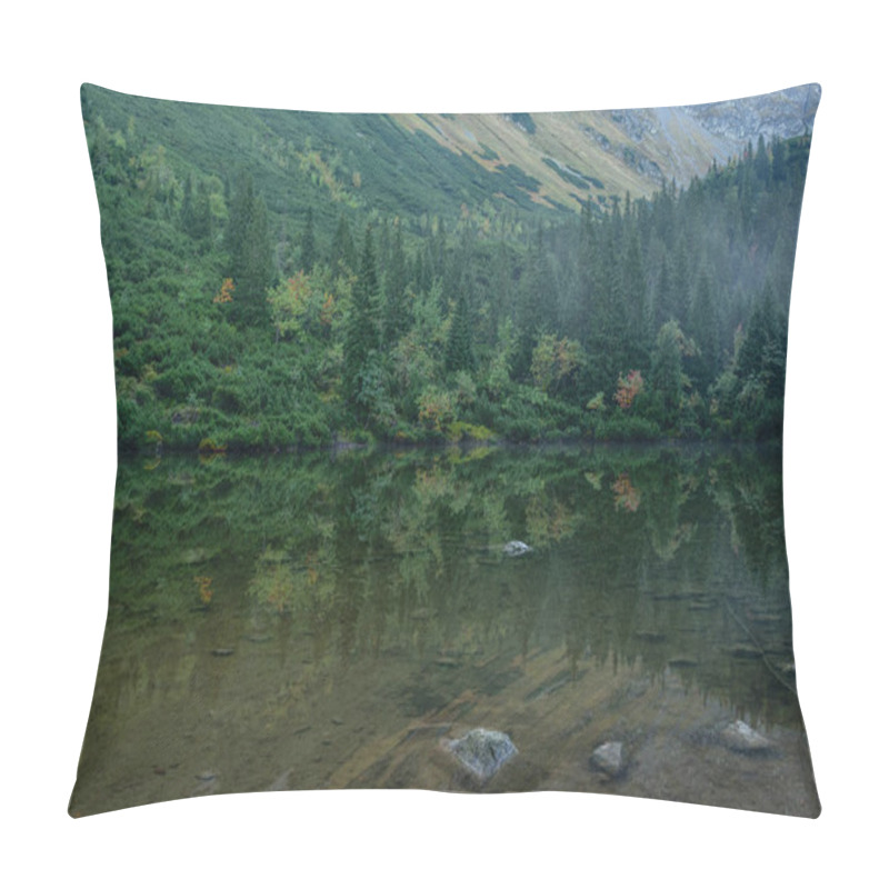 Personality  Reflections Of Trees In The Lake Water In The Morning Mist Pillow Covers