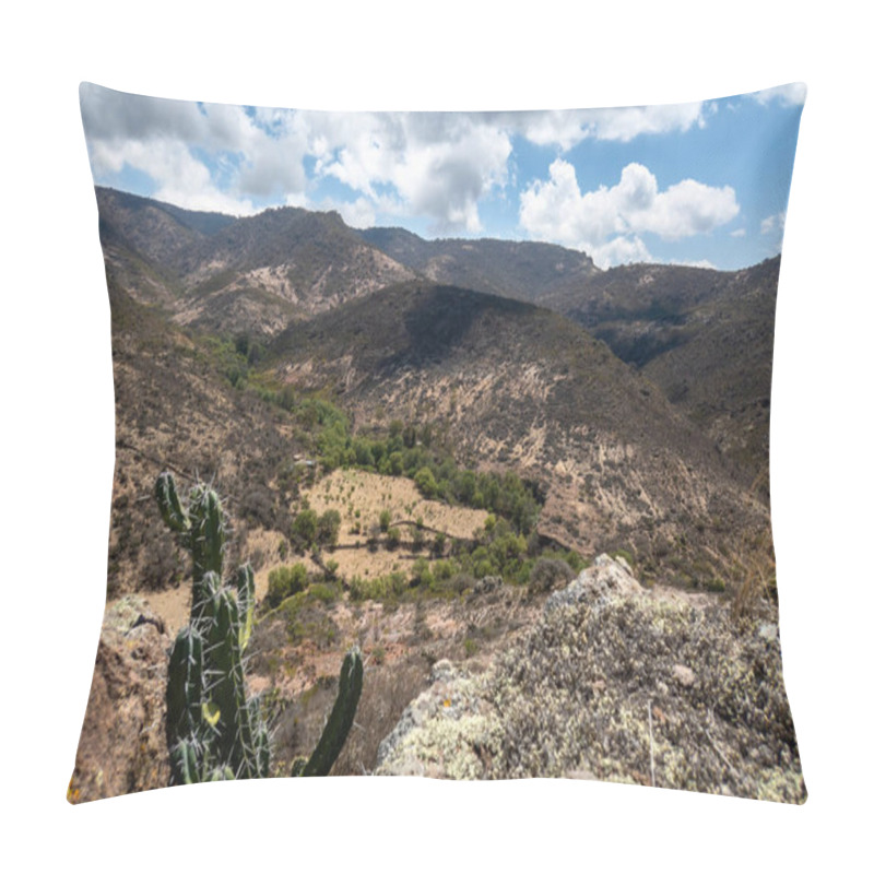 Personality  A View Of The Semi-desert Mountains From High Up In Mexico. Pillow Covers