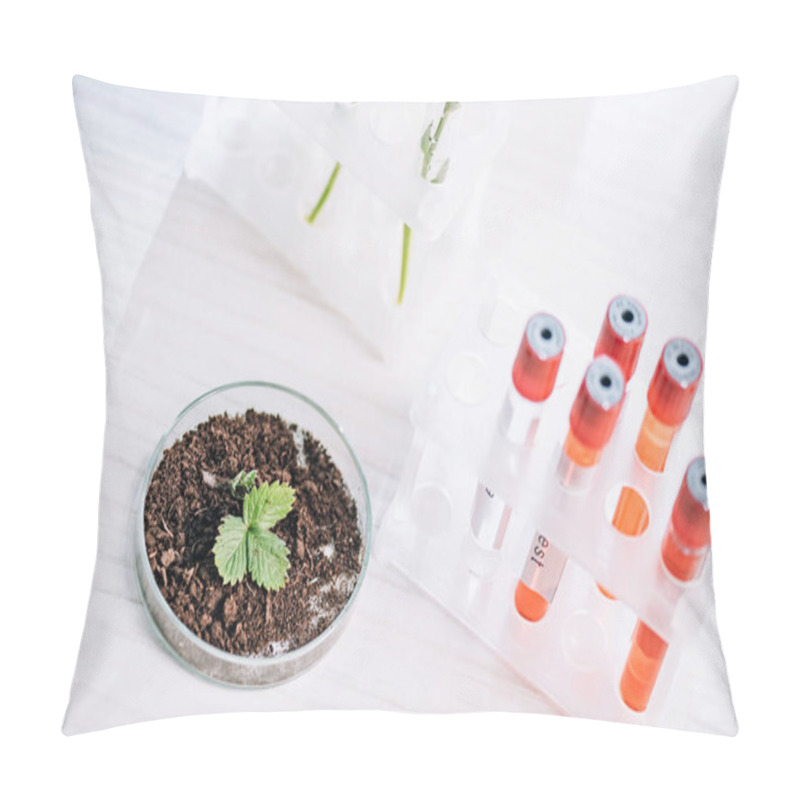 Personality  Selective Focus Of Green Leaves In Ground Near Red Test Tubes In Laboratory  Pillow Covers