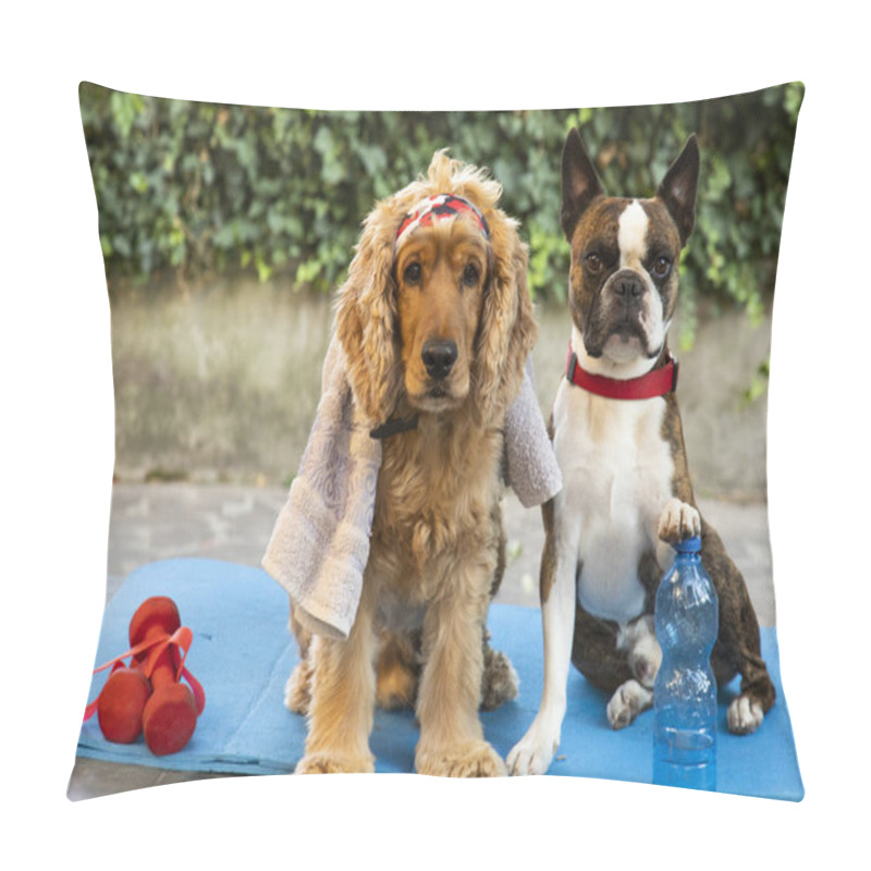 Personality  Cocker Spaniel  And Boston Terrier Are Ready For Outdoor Fitness With A Towel, Sports Mat And Dumbbells Pillow Covers