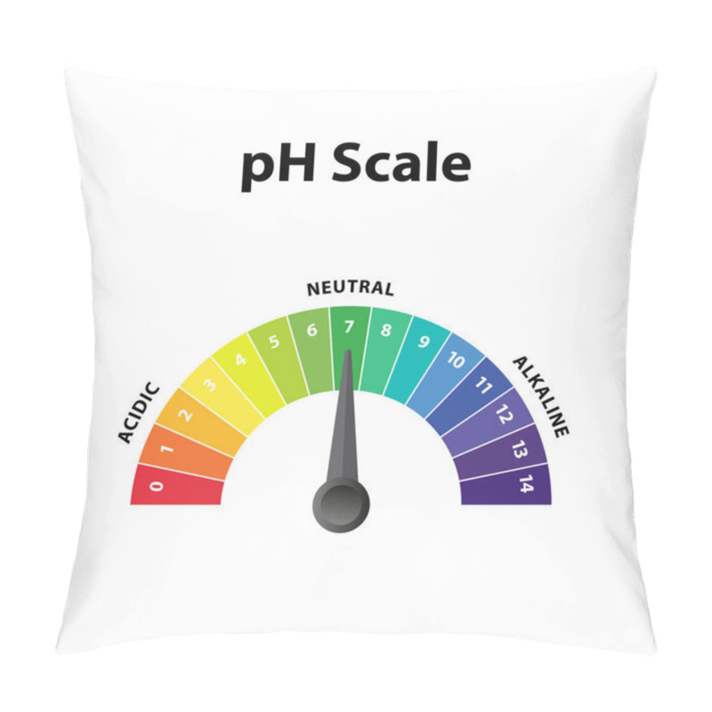 Personality  Colorful Ph Level Scale Chart Indicator Diagram Value. Alkaline, Neutral, Acidic Solution.  Pillow Covers