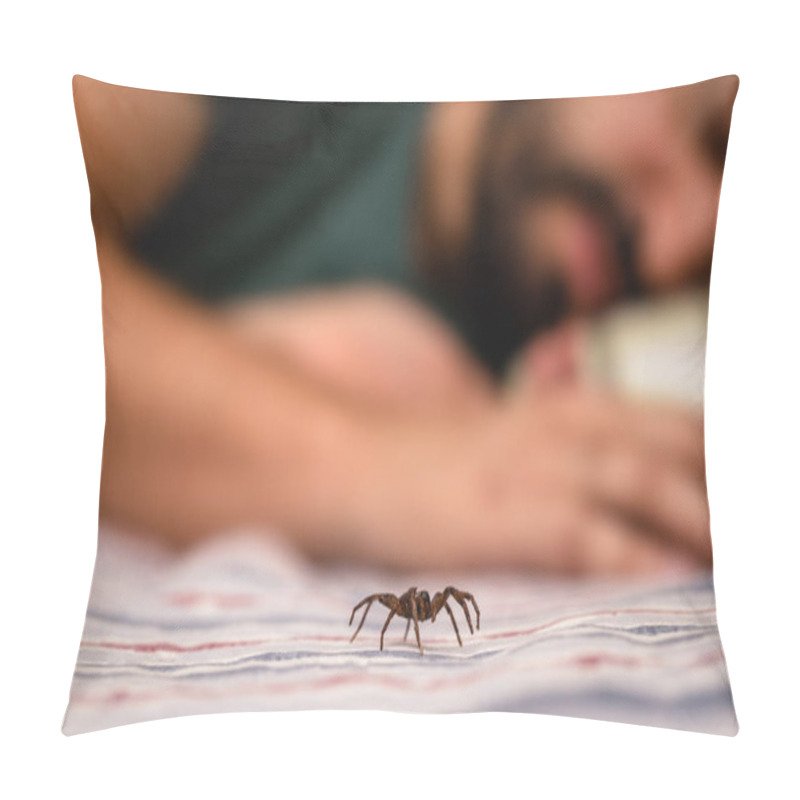 Personality  Poisonous Spider Over Person Arm, Poisonous Spider Biting Person, Concept Of Arachnophobia, Fear Of Spider. Spider Bite. Pillow Covers