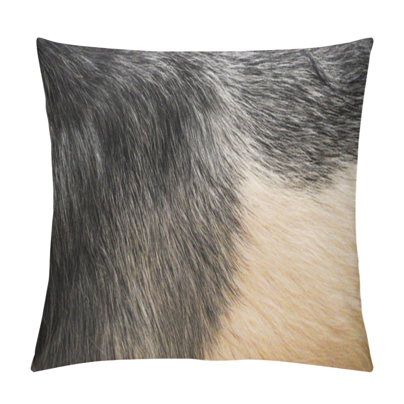 Personality  Background And Texture Of Animal Fur. Extreme Close-up Of Goat's Fur. A Fluffy, Soft Warm Coat Protects This Farm Animal From The Cold. Beautiful Shades Of Grey, Brown, White And Cream Pillow Covers